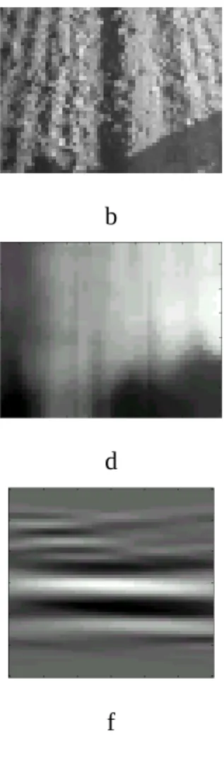 Fig. 1.  Images extracted from the different steps of the Hough transform based method