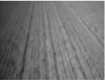 Fig. 6.  Image extracted from a video and showing the furrow (the most contrasted trace at the first quarter   from the left) and lures produced here by the seed bed preparation 