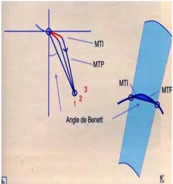 Figure 4 : Angle de Bennett [40] 