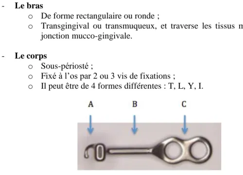 Figure 4 : Les différents composants d’une miniplaque : A : la tête, B : le bras, C : le  corps  (52)
