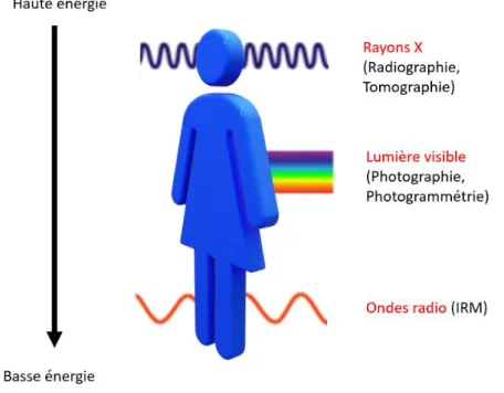 Figure 1: Les différents types de rayonnements utilisés en imagerie et leur interaction avec le corps  humain (source Juliette Graziana) 