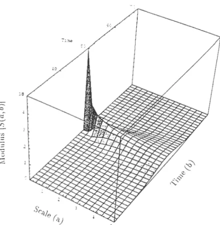 figur e  6:  :Vlodulus  of  the  wavelet  transform  IS(a, b)l  of  a  signal  s(t)  with  a  discontinuity  in  .)Q