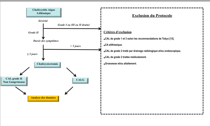 Figure 3. Flow chart de l’étude  CAL grade II Non Gangréneuse Cholécystite Aigue Lithiasique Cholécystectomie Exclusion du ProtocoleCritères d’exclusion