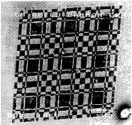 Figure 5. Image SEM d'un réseau de Damman [5]. 