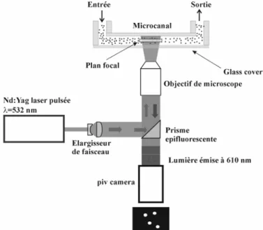 Figure 1 : Schéma de la configuration optique d’un système de micro-PIV 