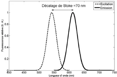 Figure 2 : Exemple de décalage de Stokes d’un type de particules utilisées en Micro – PIV 