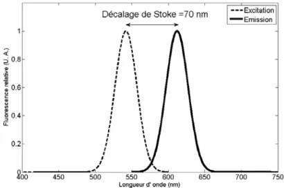 Figure 2 : Exemple de décalage de Stokes d’un type de particules utilisées en Micro – PIV 