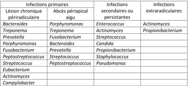 Tableau 1. Composition de la flore endocanalaire en fonction du type d’infection et  de la pathologie périapicale (d’après Siqueira(3))