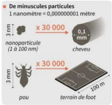 Fig 1: Echelle d‘une nanoparticule 