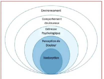 Figure 6: Modèle biopsychosociale de la douleur de Waddell. (16) 