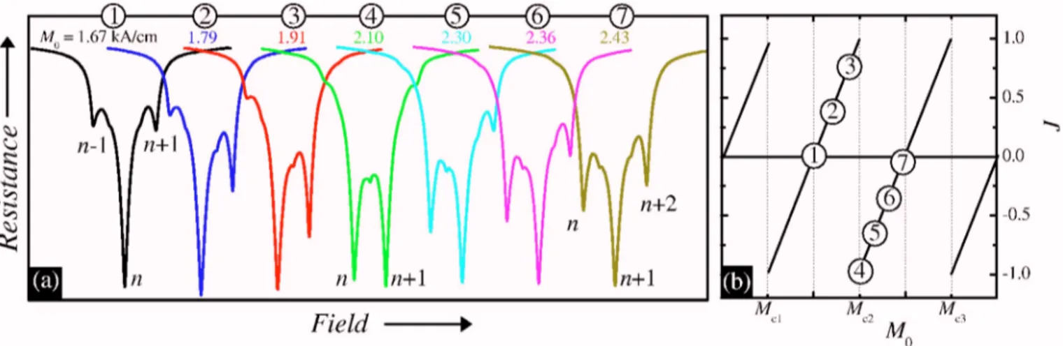 FIG. 4. Contour plot of the resistance as a function of field and magnetization for t= 0.991