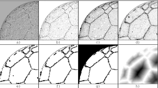 Figure 1 - Illustration of the method used to extract approximate position of the grain  centres