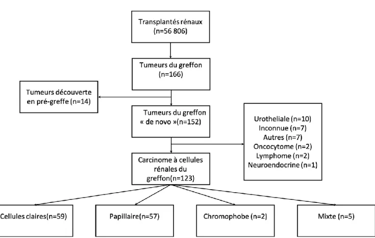 Figure 1 : Flow chart des tumeurs du greffon rénal 