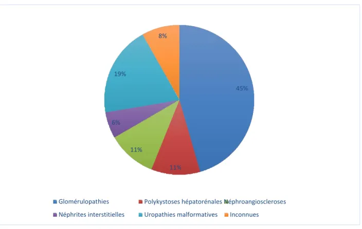 Figure 2 : Étiologies de l’insuffisance rénale chronique chez les patients transplantés 