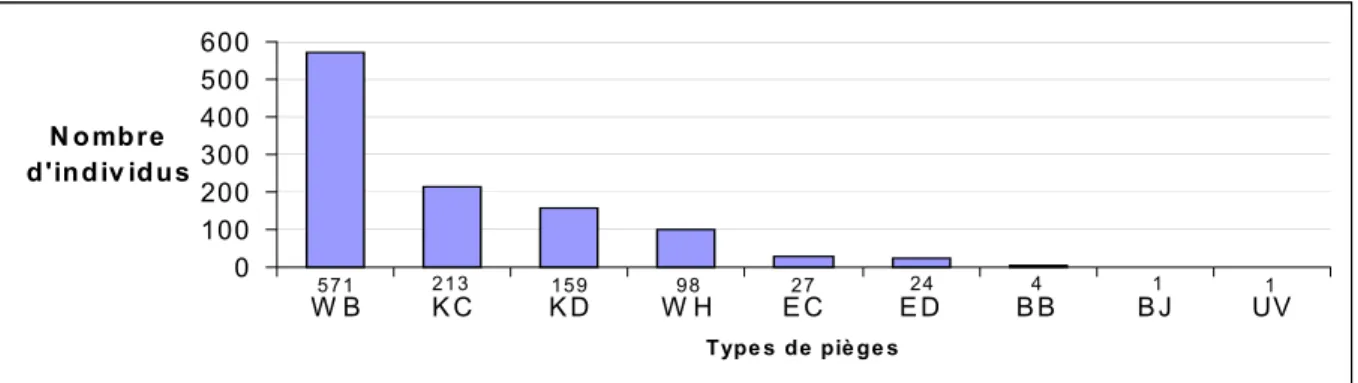 Figure 2 : Nombre total de Rhizophagus récoltés par les différents types de pièges sur les deux sites