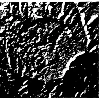 Figure 3  Dépression d'Aube' modèle numérique de terrain estompé 