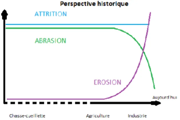 Figure 9: évolution de la part de chaque mécanisme en fonction du temps. (43) 