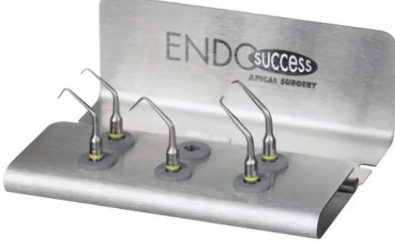 Fig. 5 : Inserts Endosuccess Apical Surgery® (Acteon Mérignac France)