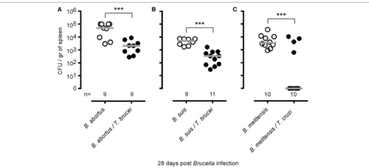 FigUre 4 | Impact of Trypanosoma brucei co-infection on Brucella suis and Brucella abortus infection and impact of Trypanosoma cruzi on Brucella melitensis  infection