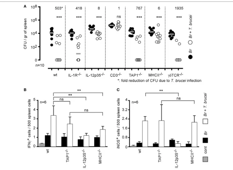 FigUre 5 | Elimination of Brucella during Trypanosoma brucei infection required IL-12 and CD4 +  T cells