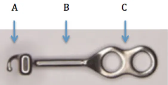 Figure 2 : Les différents composants d’une miniplaque. A : tête. B : bras. C : corps (18) 