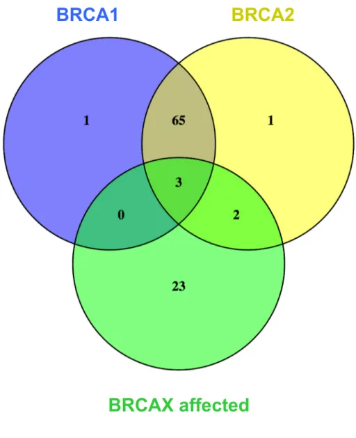 Figure   3 : Venn diagram of significantly and differentially expressed  transcripts compared to BRCAX unaffected individuals