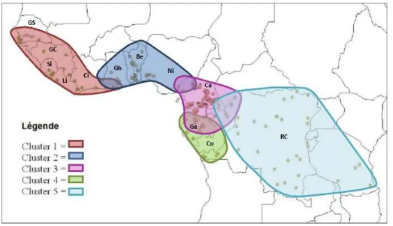 Figure 4. Pools génétiques de Milicia en Afrique sub-saharienne    (Pluijgers, 2011 ; Daïnou, 2012)