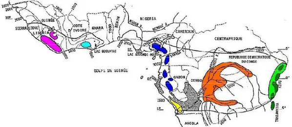 Figure 11. Schéma des refuges de forêts denses  humides lors du dernier  maximum  glaciaire ; rose = refuges de  Haute  Guinée,  bleu  clair  =  refuge  Ivoirien  ;  bleu  foncé  =  série  de  refuges  Camerouno-Gabonais,  jaune  =  zone  refuge du Bas-Con