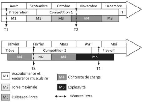 Figure 2 : Evolution du type de séance de musculation au cours de la saison. 