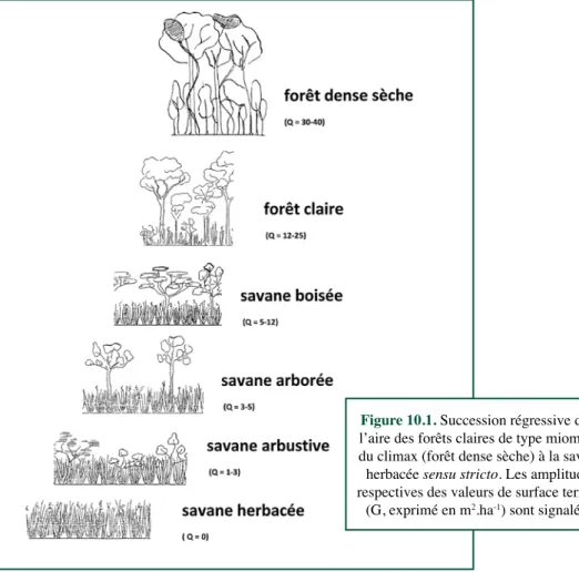 Figure 10.1. Succession régressive dans  l’aire des forêts claires de type miombo :  du climax (forêt dense sèche) à la savane  herbacée sensu stricto