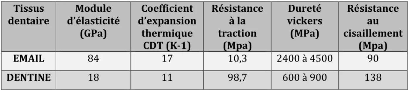 Tableau   3   :   Propriétés   physiques   des   tissus   de   la   dent   (34)(35)        Tissus    dentaire    Module    d’élasticité    (GPa)        Coefficient       d’expansion   thermique   CDT   (K-­1)    Résistance   à   la   traction      (Mpa)   