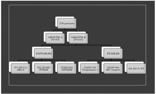 Figure 1. Classification des groupes. 