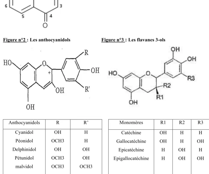 Figure n°1 : Les flavonoïdes 