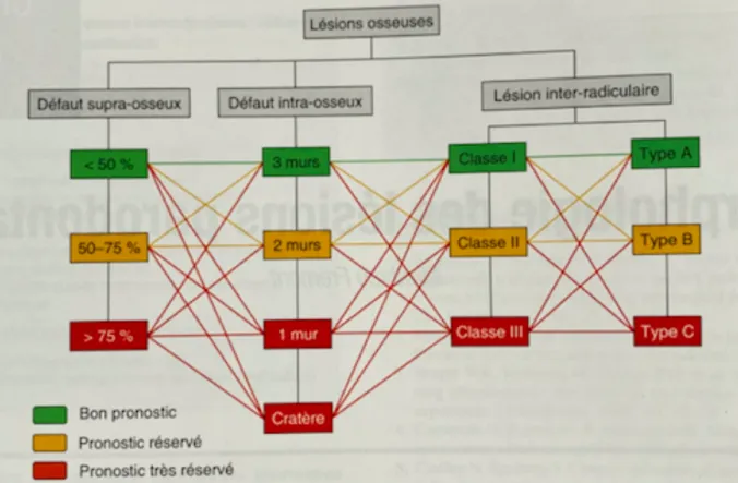 Figure 11 Pronostic thérapeutique en fonction des lésions associées (35) 