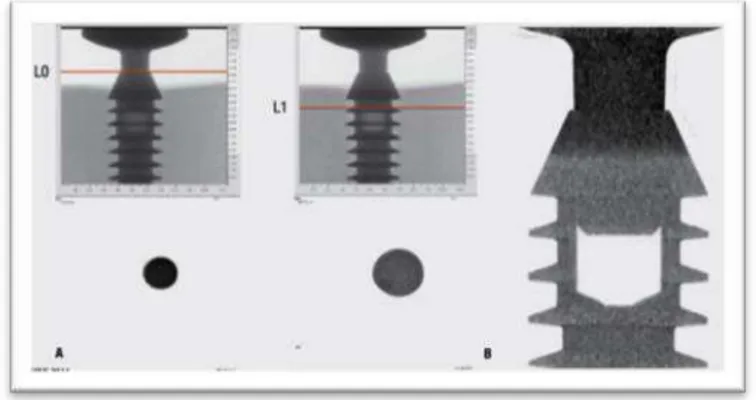 Fig 4. Vue en Microtomographie de l'implant Bicon 4.0 (11). 