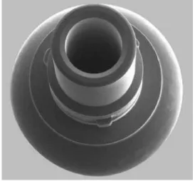 Fig 11. Nobel Cylindrique Trilobée 