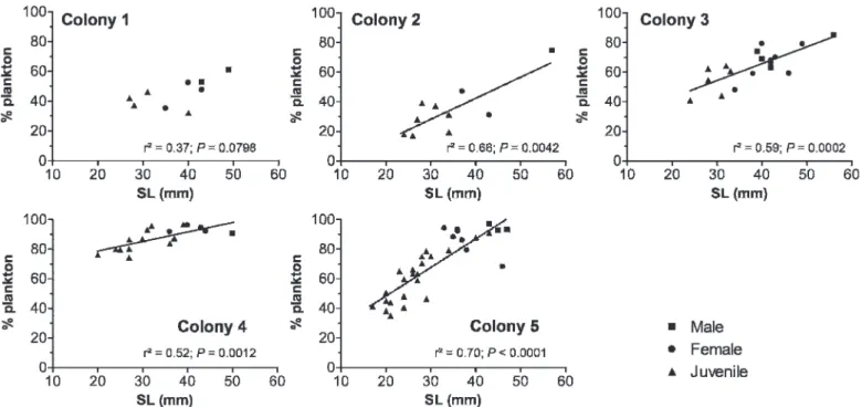 Fig. 2. Relationship between body size (SL) and mean copepod size in Dascyllus aruanus for the five colonies