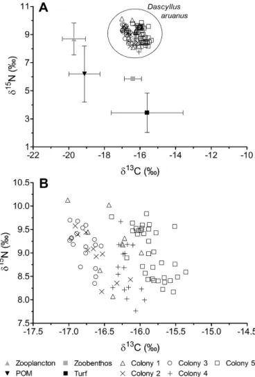 Fig. 5. Relationship between body size (SL) and d 15 N values in Dascyllus aruanus for the five colonies
