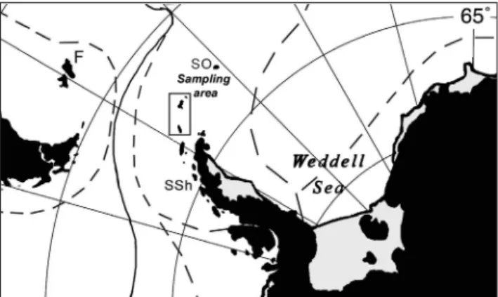 Fig. 1. Antarctic Peninsula and sampling areas (F: Falklands; 