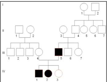 Figure 9 : Arbre généalogique de la famille 2 