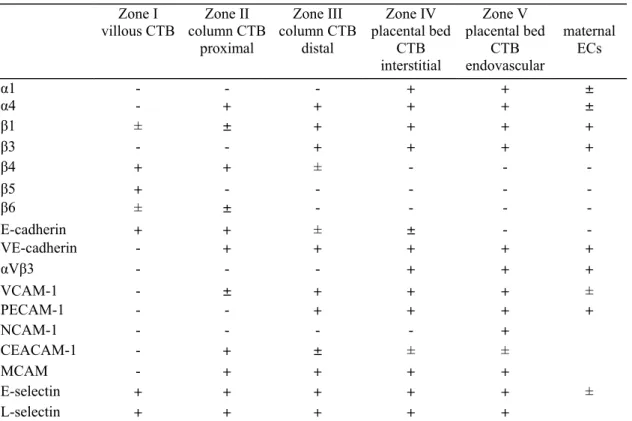 Table 1: Expression of adhesion molecules and integrins in first trimester trophoblast [data from 14, 17, 23-26,  117] 
