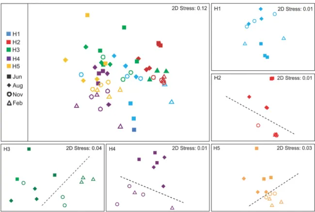 Fig. 2. Top left: sediment fatty acid composition — non-metric multidimensional scaling (nMDS) of all stations (H1 to H5) and all months