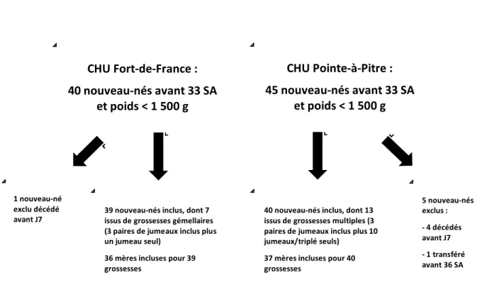 Figure 1 : "flow-chart" des inclusions dans les deux unités de Néonatologie. 