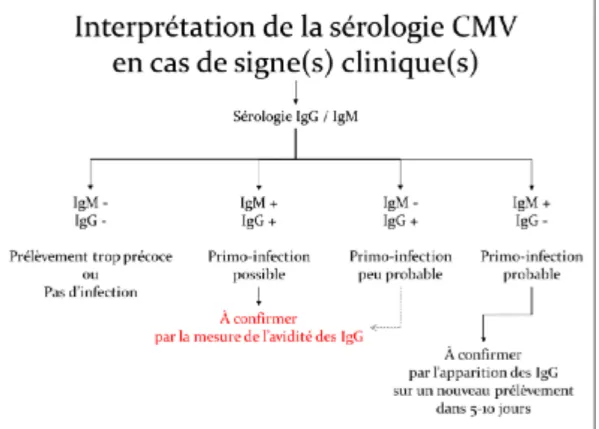 Figure 7. Interprétation de la sérologie CMV en cas de signes cliniques maternels (38)