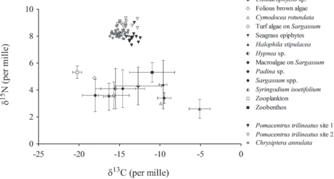 Fig. 2. – δ 13 C vs δ 15 N of potential food sources (mean ± sd), Chrysiptera annulata and the two populations of  Pomacentrus trilineatus (individual data points, n= 35 and n=29, respectively).