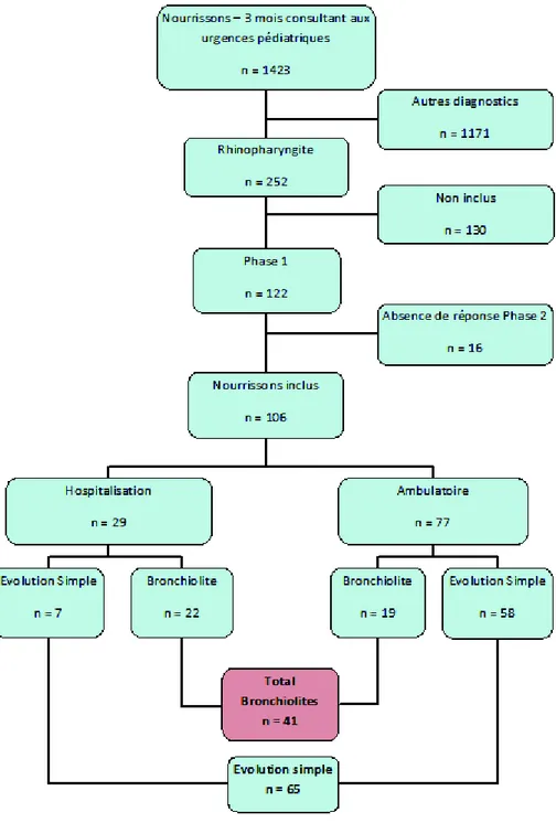 Figure 1 : Recrutement et évolution des nourrissons de moins de 3 mois consultant aux urgences pédiatriques  