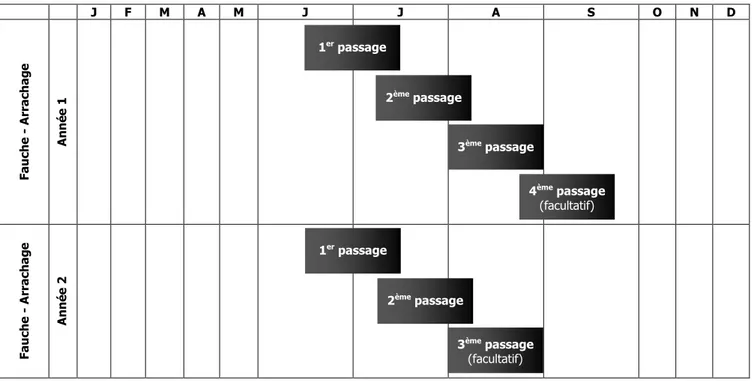 Figure 1. Calendrier des opérations de gestion de la balsamine de l’Himalaya 1er passage 2ème passage  3ème passage 4ème  passage (facultatif) 1er passage 2ème passage  3ème passage (facultatif) 
