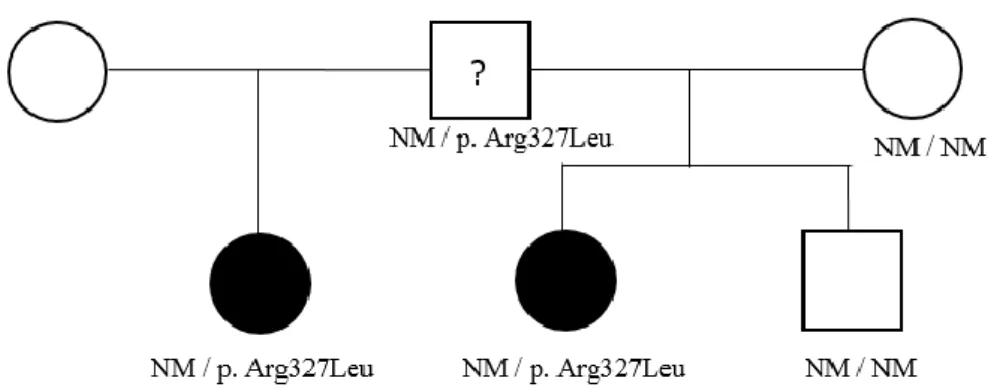 Figure 11 : Arbre généalogique famille B. 