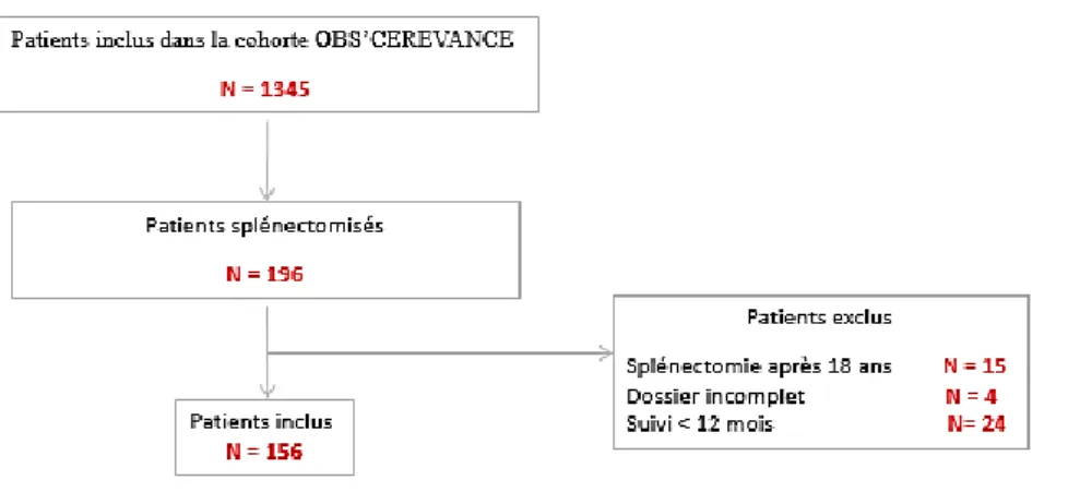 Figure 6 : Sélection des patients selon la base de données OBS’CEREVANCE au 1 juillet 2017