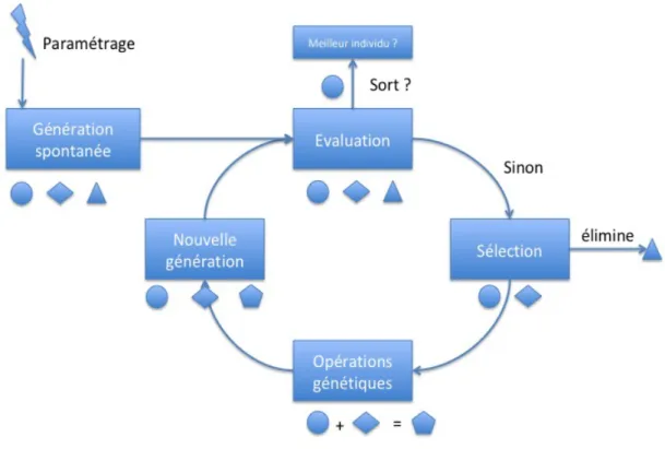 Figure 3 : cycle de programmation génétique